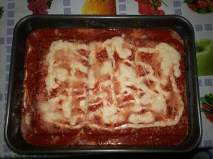 Lasagne